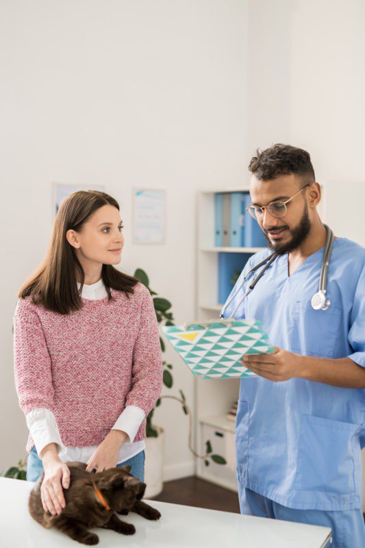 Veterinarian consulting