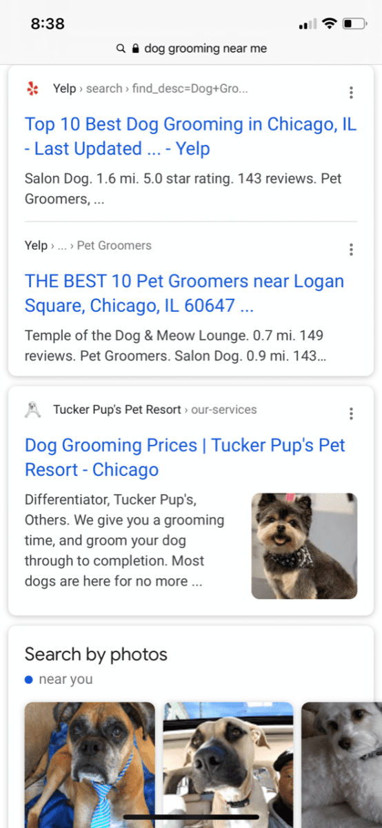 Organic dog groomer near 2024 me