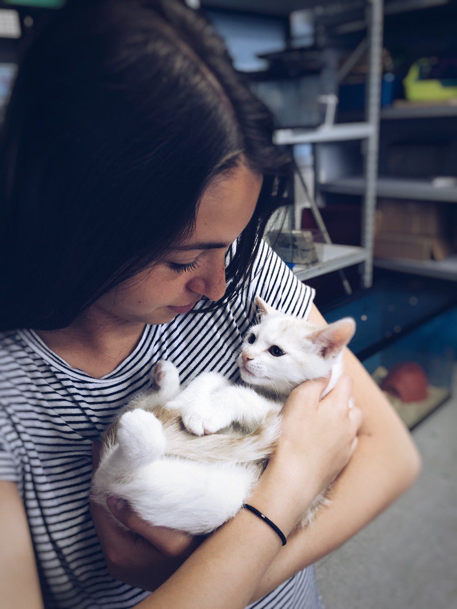 digital marketing options for pet shops