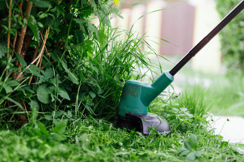 lawn and garden blog