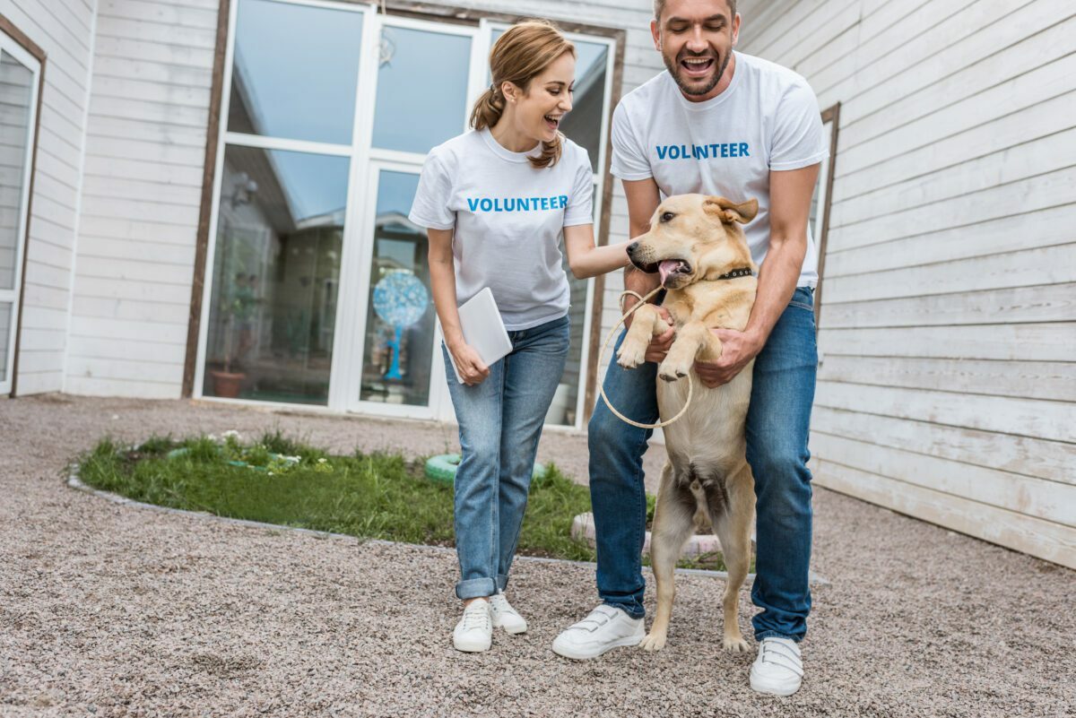 animal volunteer marketing strategies