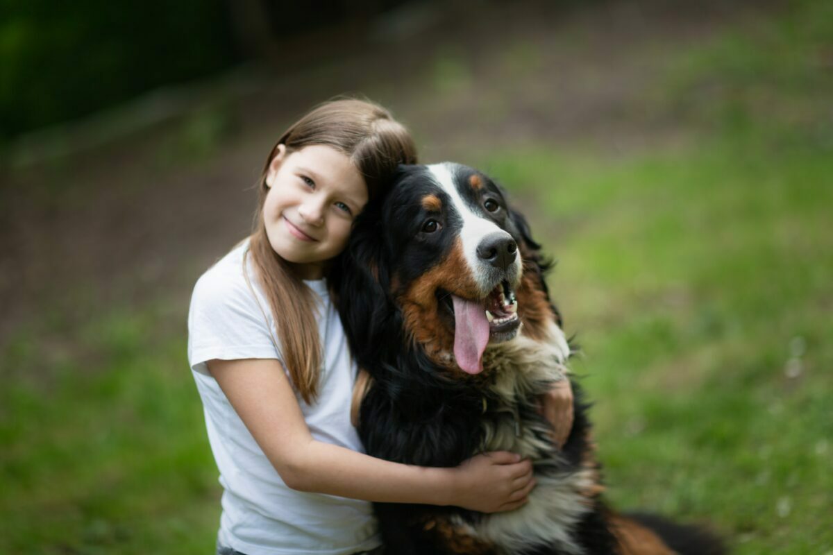 seo for animal physical therapists