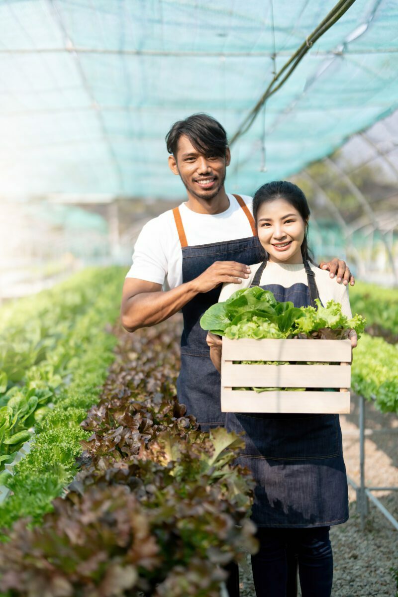 seo for hydroponics suppliers
